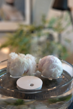 Logotrade Werbeartikel das Foto: Breevia aufladbarer schwimmender Luftbefeuchter aus RCS rABS