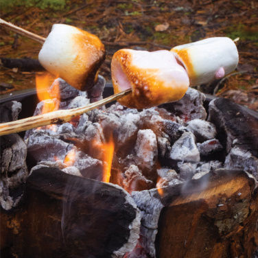 Logotrade Werbeartikel das Foto: Eco Grill M