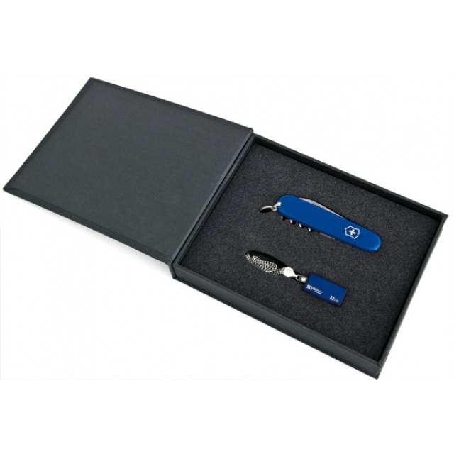 Logotrade promotional item image of: Elegant giftset in blue colour  8GB	color blue