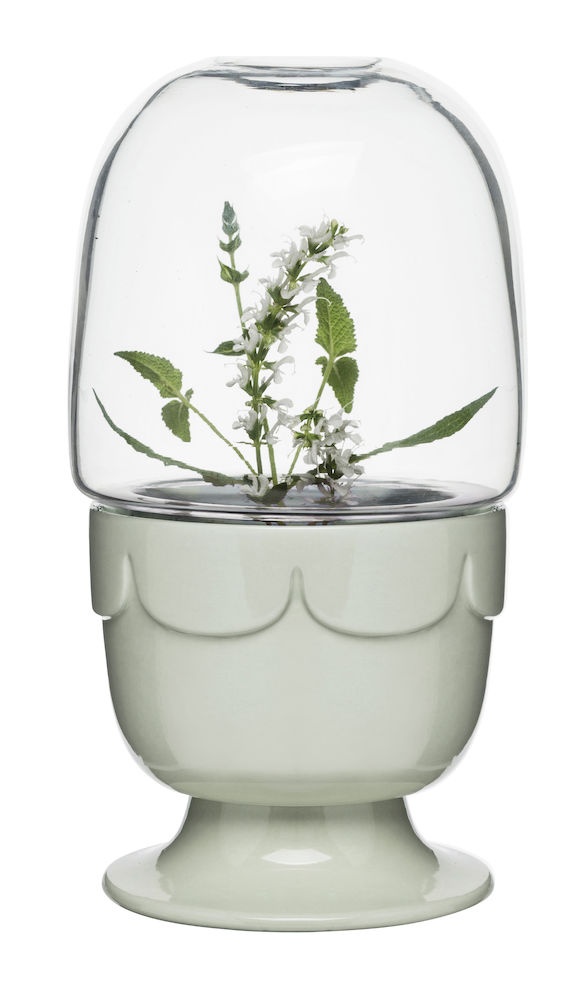 Logotrade promotional product picture of: Sagaformi mini Greenhouse