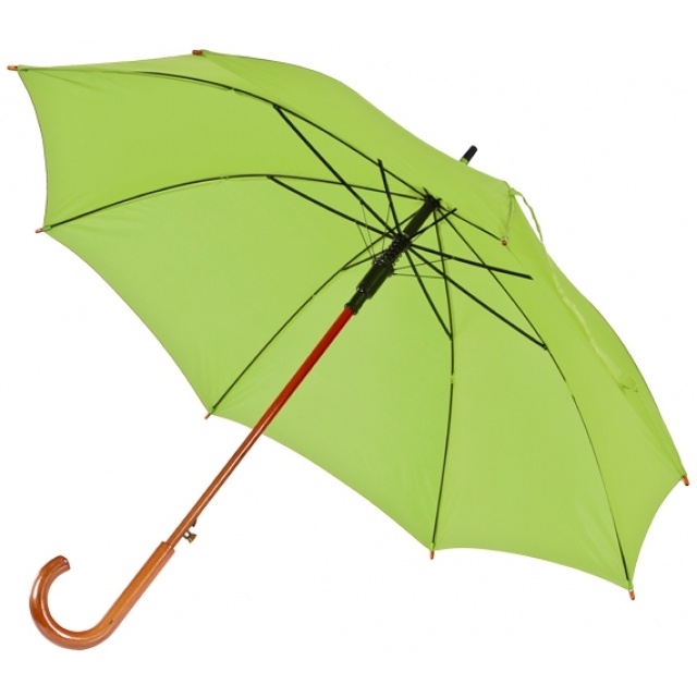 Logo trade promotional item photo of: Wooden automatic umbrella NANCY  color light green