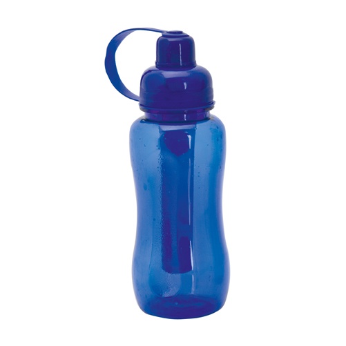 Logo trade promotional merchandise photo of: sport bottle AP791796-06 blue