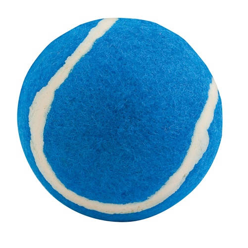 Logotrade promotional gifts photo of: ball for dogs AP731417-06 blue