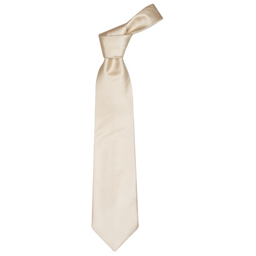 Logo trade promotional merchandise picture of: Necktie color white