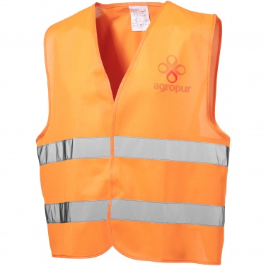 Logotrade promotional merchandise picture of: Professional safety vest, orange