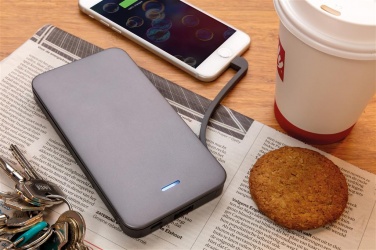 Logotrade promotional gift picture of: 10.000 mAh MFi licensed powerbank , silver