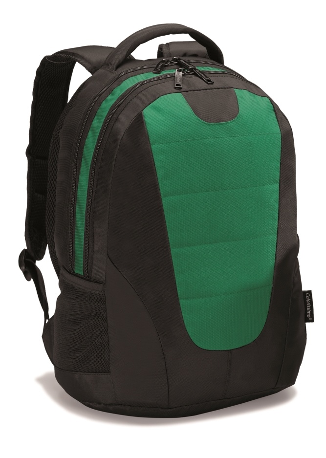 Logotrade promotional giveaway image of: COLORISSIMO LAPTOP  BACKPACK 14’, green