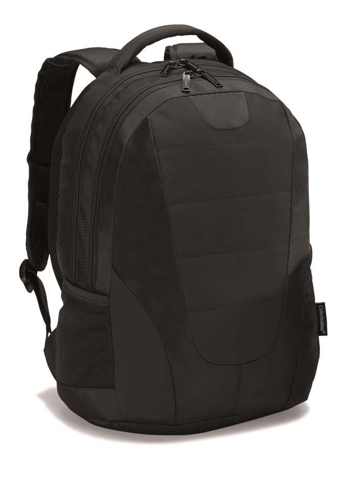 Logotrade corporate gift picture of: COLORISSIMO LAPTOP  BACKPACK 14’, black