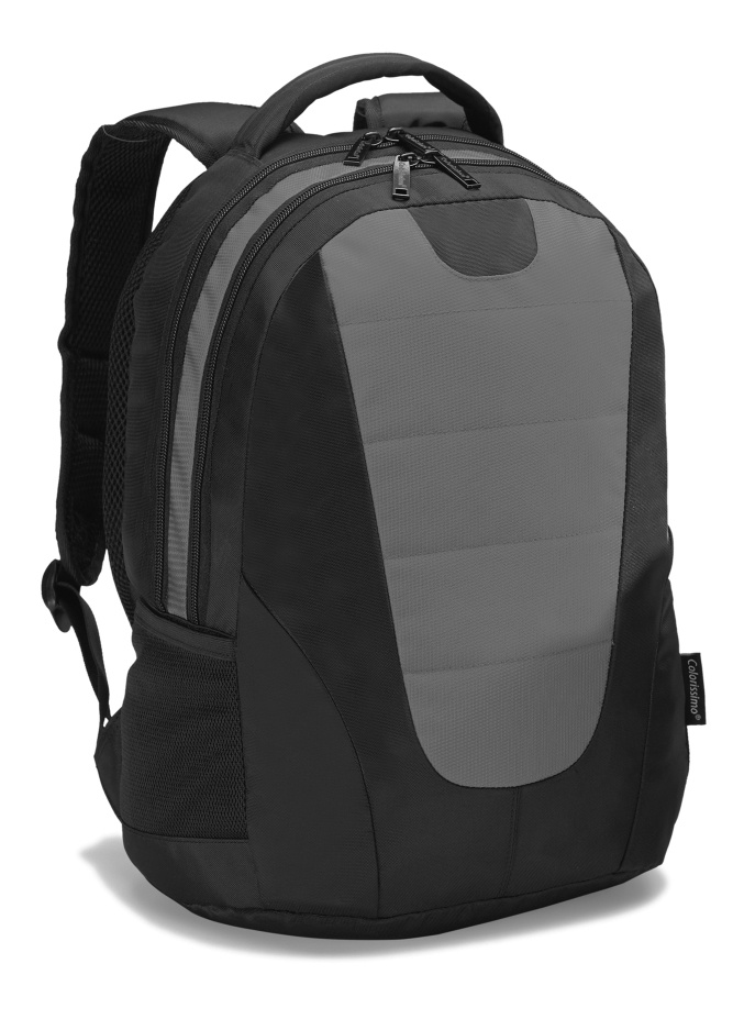 Logo trade corporate gifts picture of: COLORISSIMO LAPTOP  BACKPACK 14’, grey