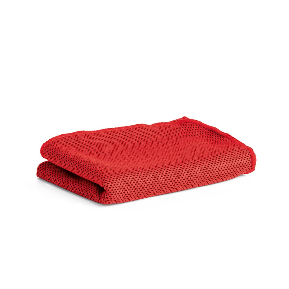 Logotrade promotional product picture of: ARTX. Gym towel, Red