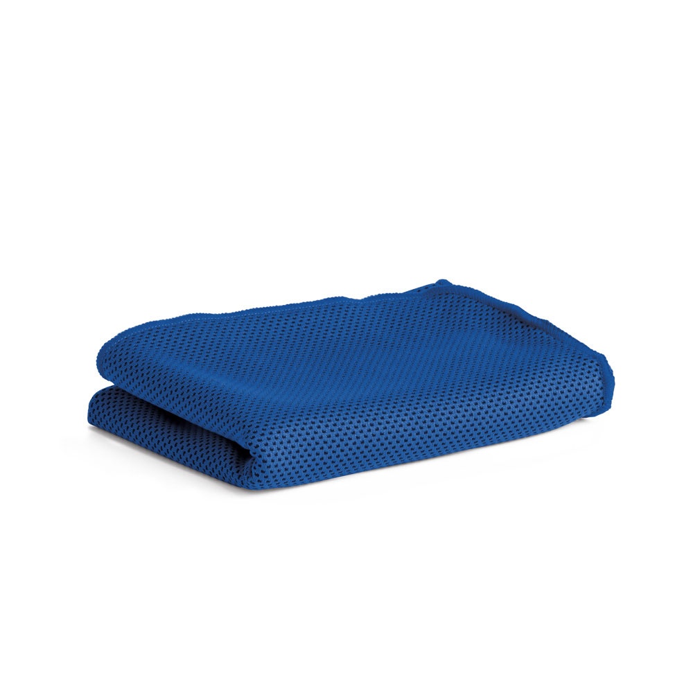 Logo trade promotional giveaway photo of: ARTX. Gym towel, Blue
