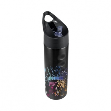 Logotrade promotional merchandise photo of: Trixie stainless sports bottle, black