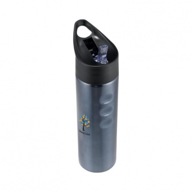 Logo trade promotional gift photo of: Trixie stainless sports bottle, titanium