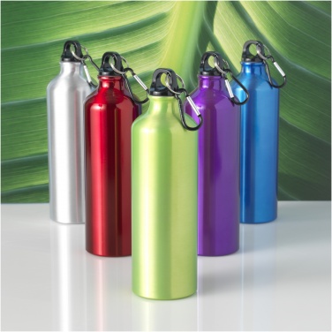 Logo trade business gift photo of: Oregon 770 ml aluminium water bottle with carabiner