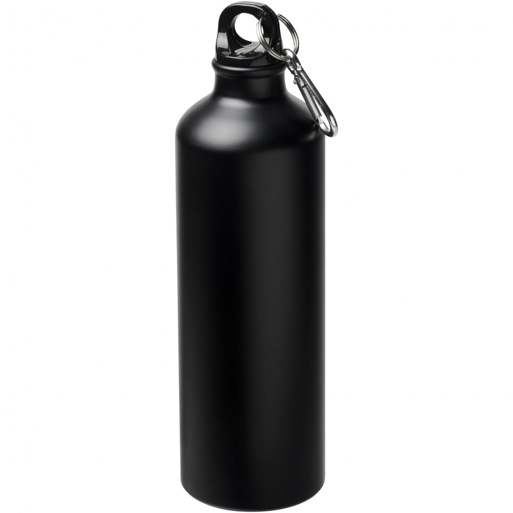 Logotrade promotional gift image of: Oregon 770 ml matte water bottle with carabiner