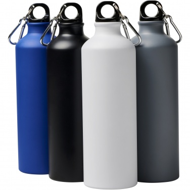 Logo trade promotional item photo of: Oregon 770 ml matte water bottle with carabiner