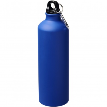 Logotrade promotional merchandise picture of: Oregon 770 ml matte water bottle with carabiner