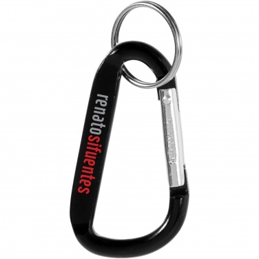 Logotrade promotional items photo of: Timor carabiner keychain