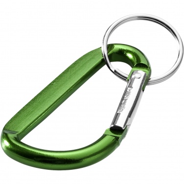 Logotrade promotional merchandise picture of: Timor carabiner keychain