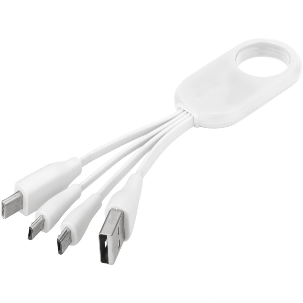 Logotrade advertising product picture of: Troup 4-in-1 charging cable with type-C tip