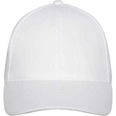 Logo trade corporate gifts picture of: Drake 6 panel trucker cap