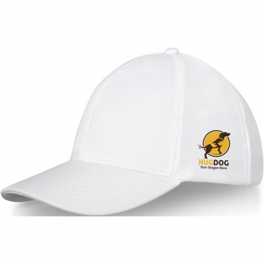 Logotrade corporate gift image of: Drake 6 panel trucker cap