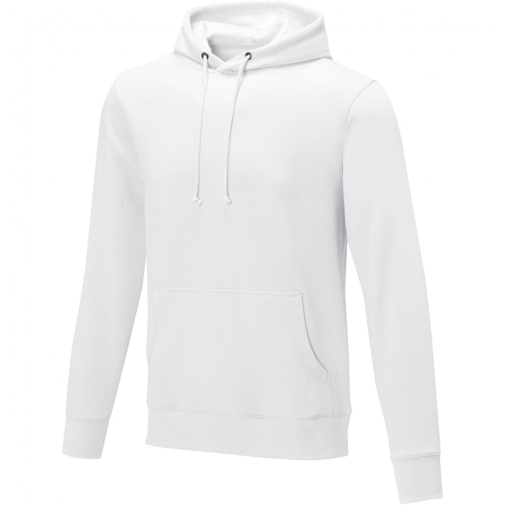 Logo trade corporate gifts picture of: Charon men’s hoodie