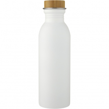 Logotrade promotional merchandise image of: Kalix 650 ml stainless steel water bottle