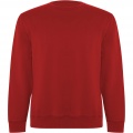 Batian unisex crewneck sweater, Red