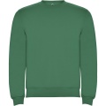 Clasica kids crewneck sweater, Kelly Green