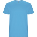 Stafford short sleeve kids t-shirt, Turquois