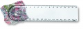 Ruler with magnifier, Transparent