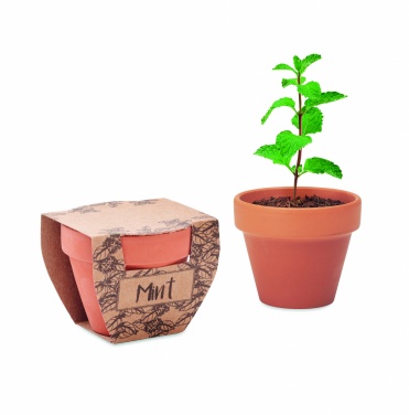 Logo trade promotional giveaways picture of: Terracotta pot mint seeds