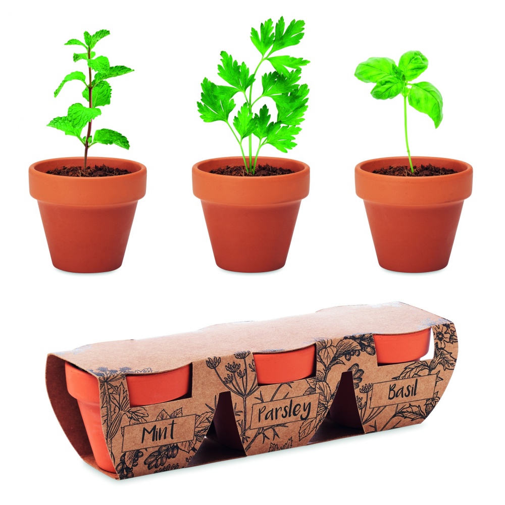 Logo trade advertising products picture of: Terracotta 3 herb pot set