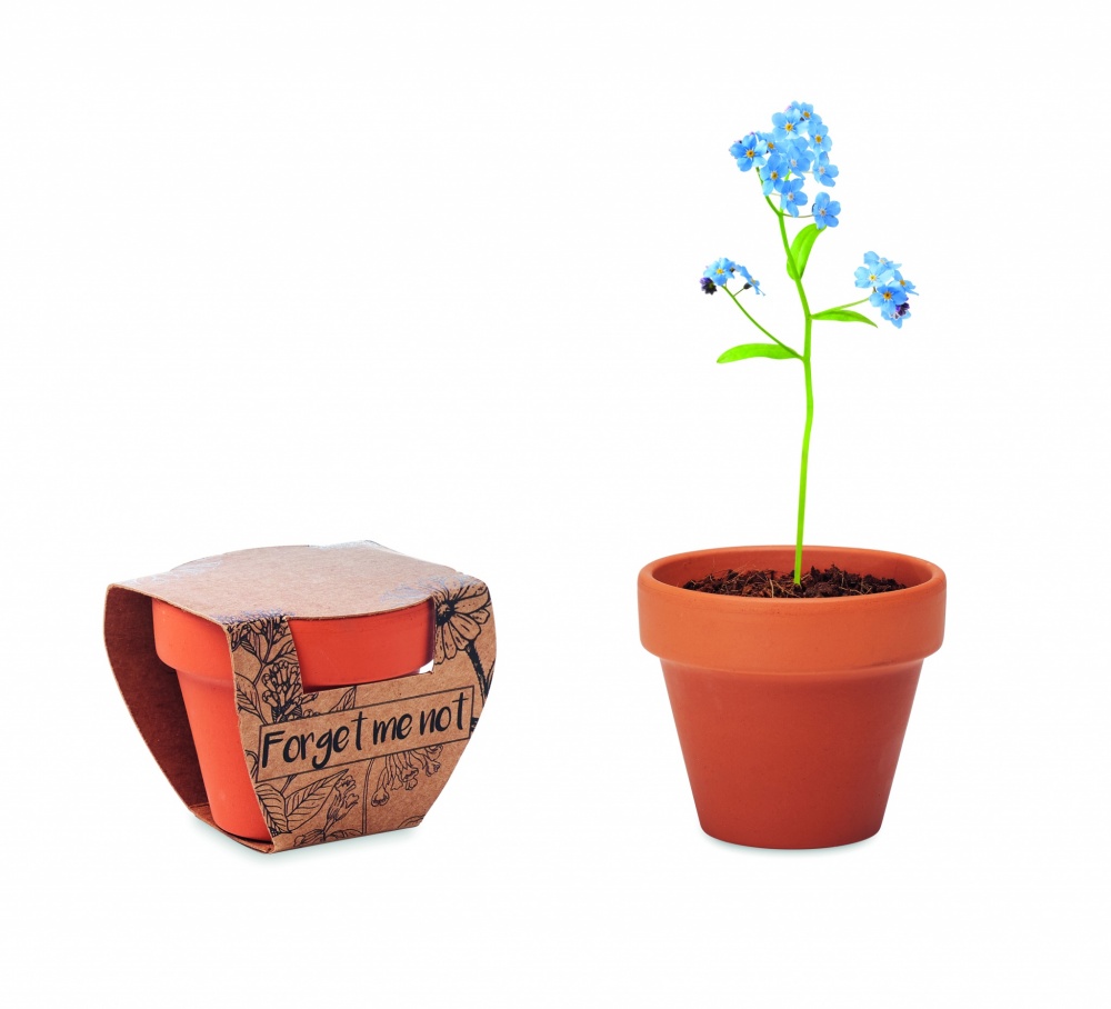 Logo trade business gift photo of: Terracotta pot 'forget me not'