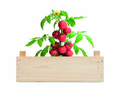 Logotrade promotional products photo of: Tomato kit in wooden crate