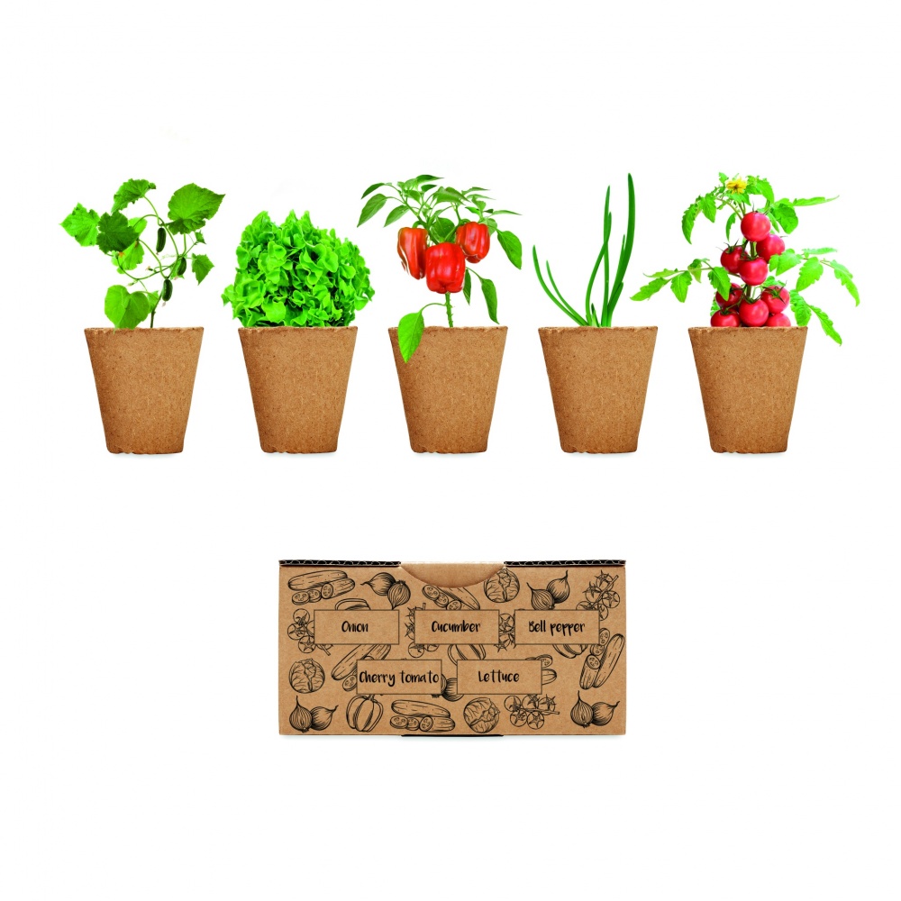 Logotrade promotional item image of: Salad growing kit