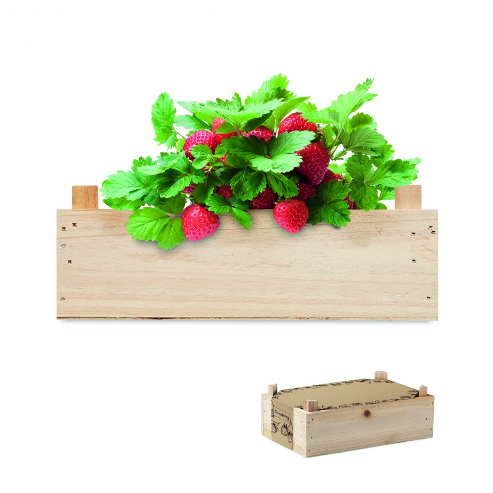 Logotrade promotional gift picture of: Strawberry kit in wooden crate