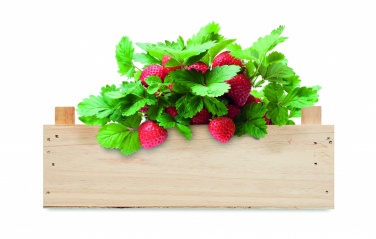 Logo trade business gifts image of: Strawberry kit in wooden crate