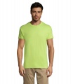 REGENT Uni T-Shirt 150g, Apple Green