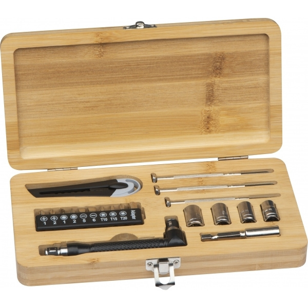 Logotrade promotional merchandise picture of: 22-piece tool set BERINGEN