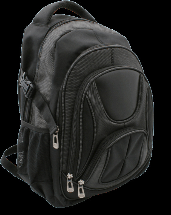 Logo trade promotional merchandise picture of: Laptop backpack 69903400