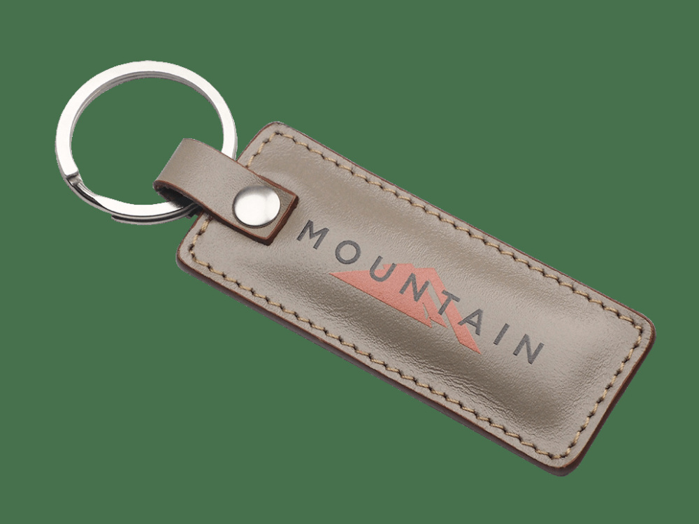 Logo trade promotional products image of: Keyring 565131