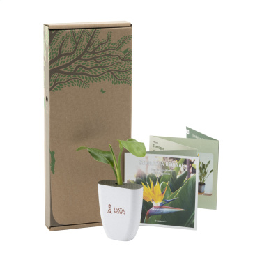 Logo trade promotional merchandise image of: Treemore Letterbox Trees Bird of Paradise plant