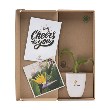 Logo trade business gift photo of: Treemore Letterbox Trees Bird of Paradise plant