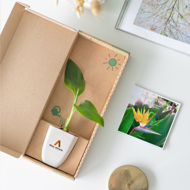 Logo trade promotional merchandise image of: Treemore Letterbox Trees Bird of Paradise plant