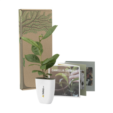 Logotrade business gift image of: Treemore Letterbox Trees Tea plant