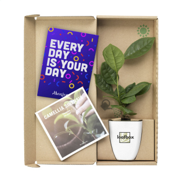 Logo trade promotional gift photo of: Treemore Letterbox Trees Tea plant