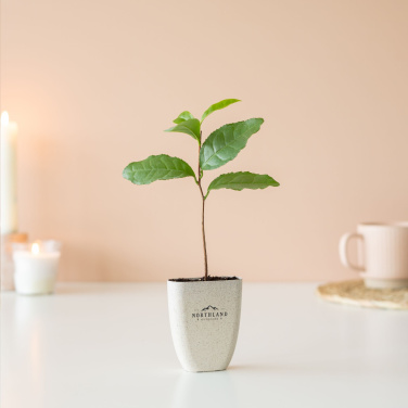 Logo trade advertising product photo of: Treemore Letterbox Trees Tea plant