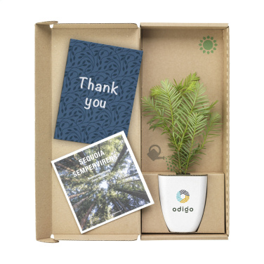 Logo trade business gifts image of: Treemore Letterbox Trees Giant Sequoia